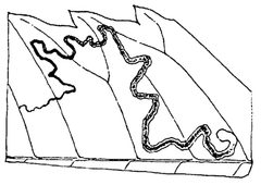 Stigmella intermedia mine by Annette F. Braun. Used under a Public domain license.