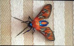 Cosmosoma achemon by NPS Photo. Used under a Public domain license.