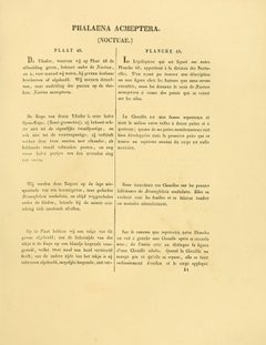 Sepp-Surinaamsche vlinders - pl 049 text1 Gonodonta nutrix by Jan Sepp (1778 - 1853). Used under a Public domain license.
