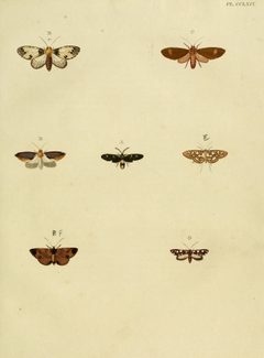 CramerAndStoll-uitlandsche kapellen vol. 3- pl 264 by Pieter Cramer (1721 - 1776) and Caspar Stoll (between  1725 and 1730 - 1791). Used under a Public domain license.