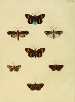 CramerAndStoll-uitlandsche kapellen vol. 4- pl 310 by Pieter Cramer (1721 - 1776) and Caspar Stoll (between  1725 and 1730 - 1791). Used under a Public domain license.
