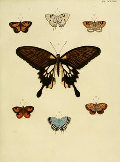 CramerAndStoll-uitlandsche kapellen vol. 3- pl 243 by Pieter Cramer (1721 - 1776) and Caspar Stoll (between  1725 and 1730 - 1791). Used under a Public domain license.