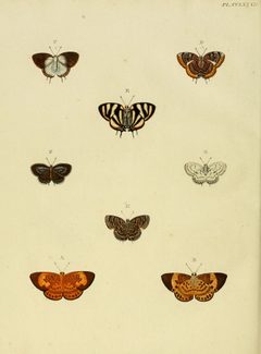 CramerAndStoll-uitlandsche kapellen vol. 3- pl 282 by Pieter Cramer (1721 - 1776) and Caspar Stoll (between  1725 and 1730 - 1791). Used under a Public domain license.