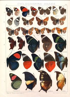 Seitz by wikipedia. Used under a Public domain license.