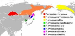 Parnassius eversmanni range map by derivative work: Meganmccarty (talk)
BlankMap-World-180E.svg: Lokal_Profil. Used under a Public domain license.