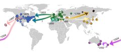 The map of global invasion by Pieris rapae by pierisproject.org. Used under a CC0 license.