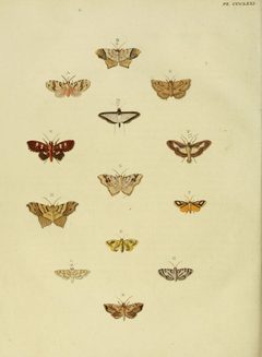 CramerAndStoll-uitlandsche kapellen vol. 4- pl 371 by Pieter Cramer (1721 - 1776) and Caspar Stoll (between  1725 and 1730 - 1791). Used under a Public domain license.