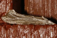 Ypsolopha falciferella by CBG Photography Group, Centre for Biodiversity Genomics. Used under a CC0 license.