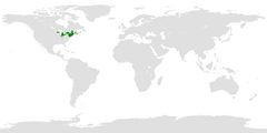 Distribution of Aeshna clepsydra by Josley17. Used under a CC BY-SA 4.0 license.