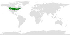Distribution of Aeshna constricta by Josley17. Used under a CC BY-SA 4.0 license.