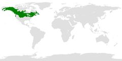 Distribution of Aeshna eremita by Josley17. Used under a CC BY-SA 4.0 license.