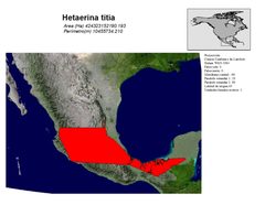 Hetaerina titia distribution by Clarissa Castaños. Used under a CC BY-SA 4.0 license.