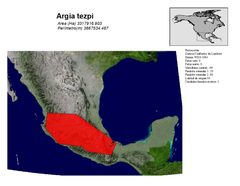 Argia tezpi distribution by Julián PR. Used under a CC BY-SA 4.0 license.
