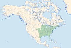 Enallagma signatum Distribution by Loz (L. B. Tettenborn). Used under a CC BY-SA 3.0 license.
