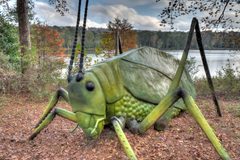 20-20-022-katydid by Dsdugan. Used under a CC BY-SA 4.0 license.
